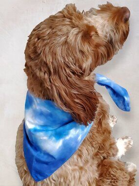 Kodiak Island Tie Dye Dog Bandana in Blue Hand Dyed Pet Scarf by Akasha Sun